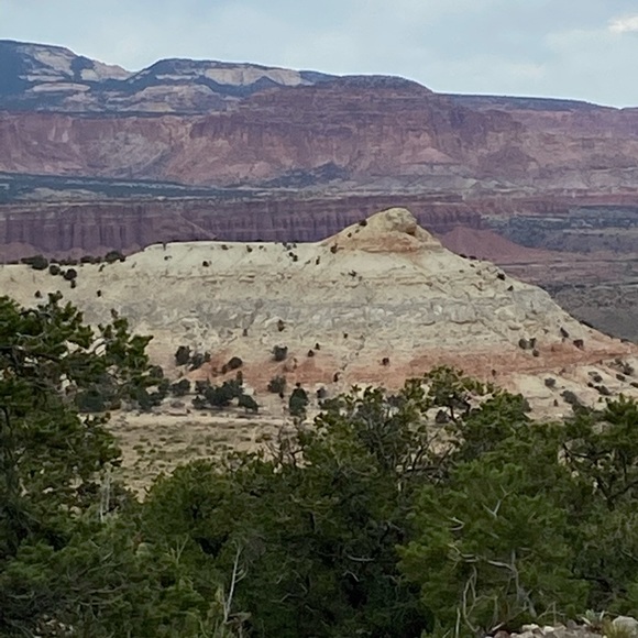 I learn so much checking out other closets! - Picture 10 of 16
